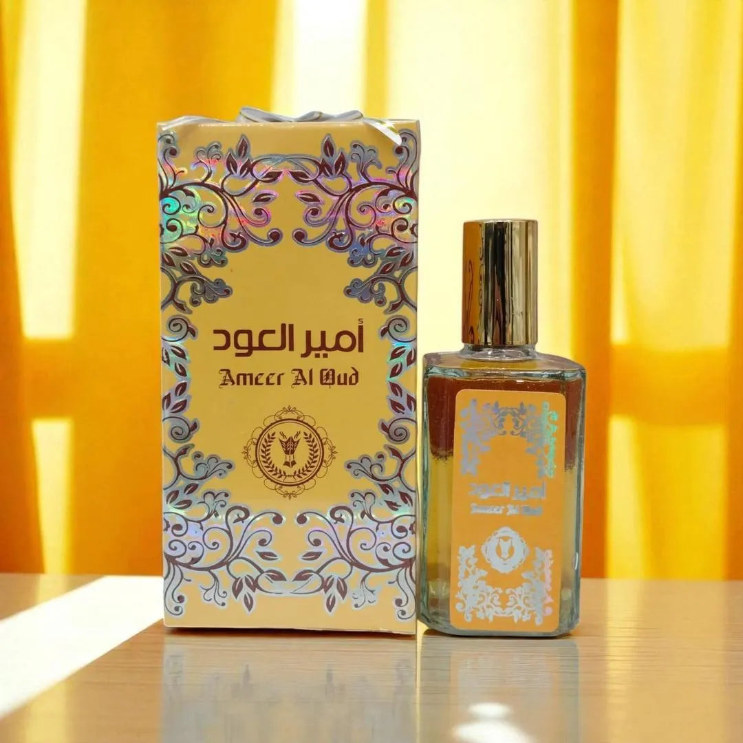 Ameer Al OUD